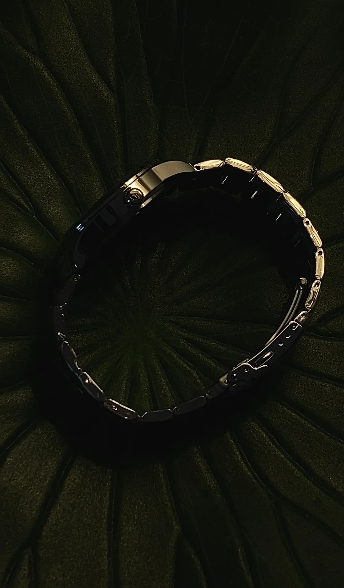 Steel Frog Watch 33.5MM - Image 3