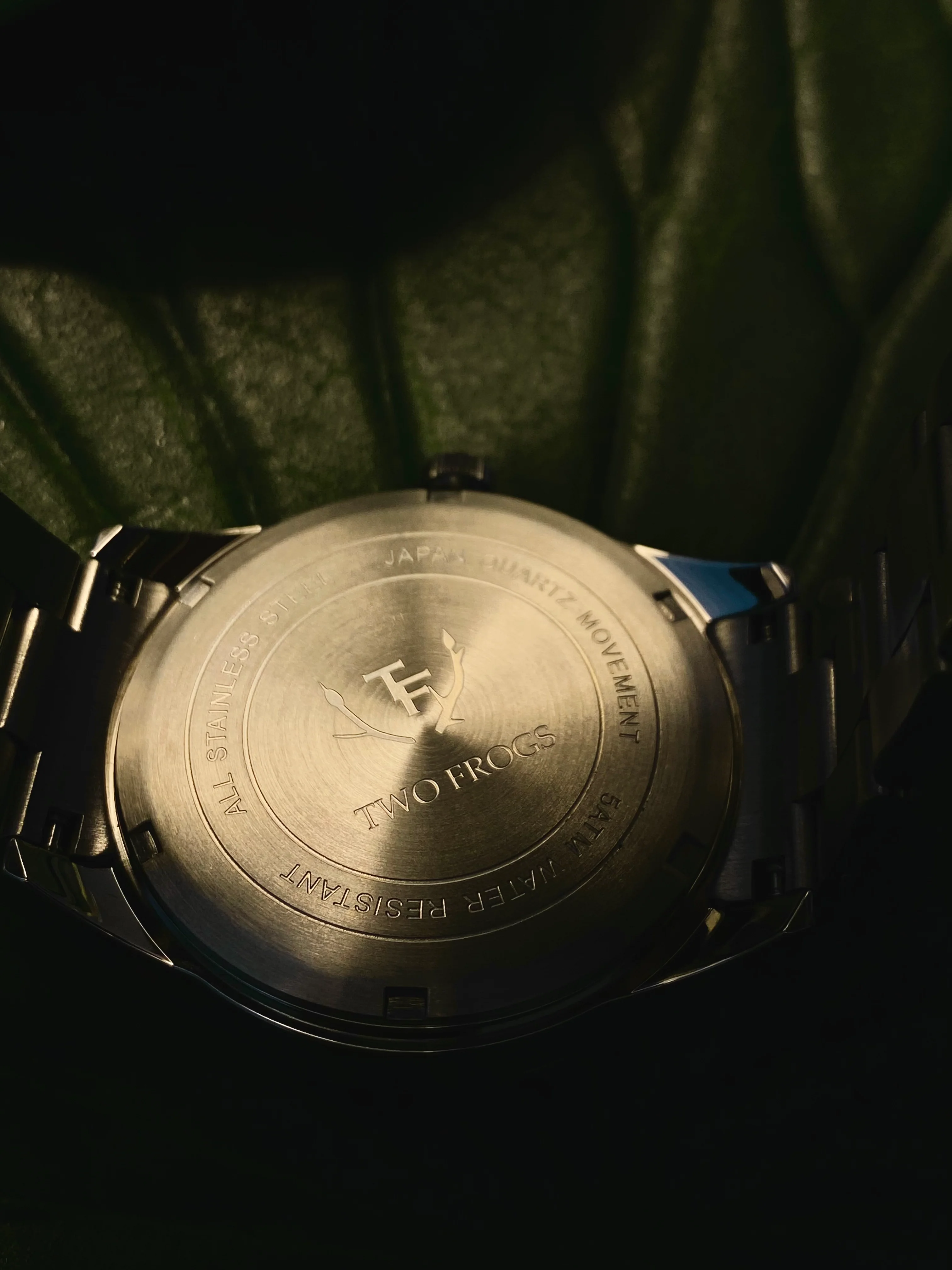 Steel Frog Watch 33.5MM - Image 4